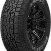 Nexen Roadian A/T Pro RA8 All- Season Radial Tire-LT275/65R18/10 120S