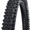 Schwalbe Unisex - Adult Rocket Ron Bicycle Tyres