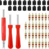 Showay Valve Core Remover With 20Pcs Schrader Valve Cores Dual Single Head Valve Core Remover Tire Repair Tool, Red, Cartool01