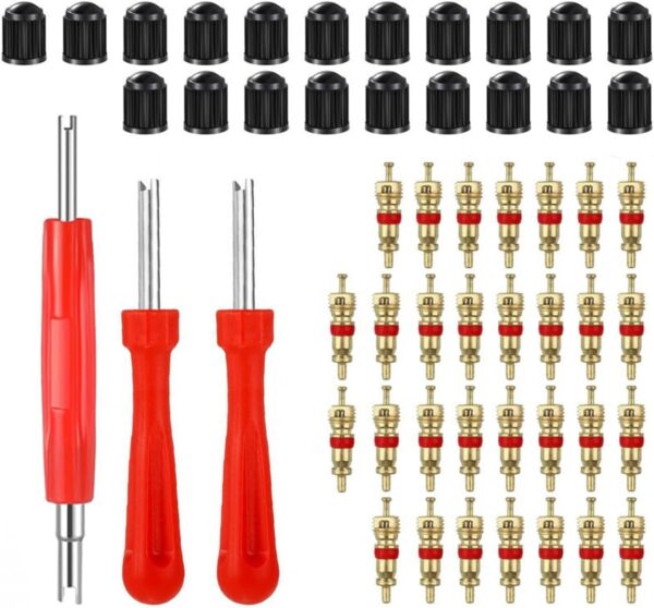 Showay Valve Core Remover With 20Pcs Schrader Valve Cores Dual Single Head Valve Core Remover Tire Repair Tool, Red, Cartool01