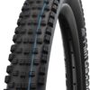 Schwalbe Wicked Will Evo Folding Tyre, 65-584 (27.5 x 2.60 Inches) Super Ground