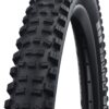 Schwalbe SCHWALBE HANS DAMPF Perf, TwinSkin, TLR Tyres