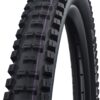 Schwalbe Big Betty Evo 62-622 Super Downhill Folding Tyre