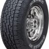 Nexen ROADIAN AT PRO RA8 All-Season Radial Tire - 265/75-16 123R