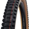 Schwalbe Big Betty Evo Faltreifen // 62-622 (29x2,4') Super Gravity Classic Skin