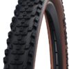 Schwalbe Smart Sam Bicycle Tyre