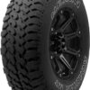 NEXEN 10667NXK Roadian MT All-Season Radial Tire -LT235/75R15/6 104/101Q