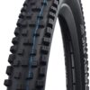 Schwalbe Nobby Nic Tubeless Tires