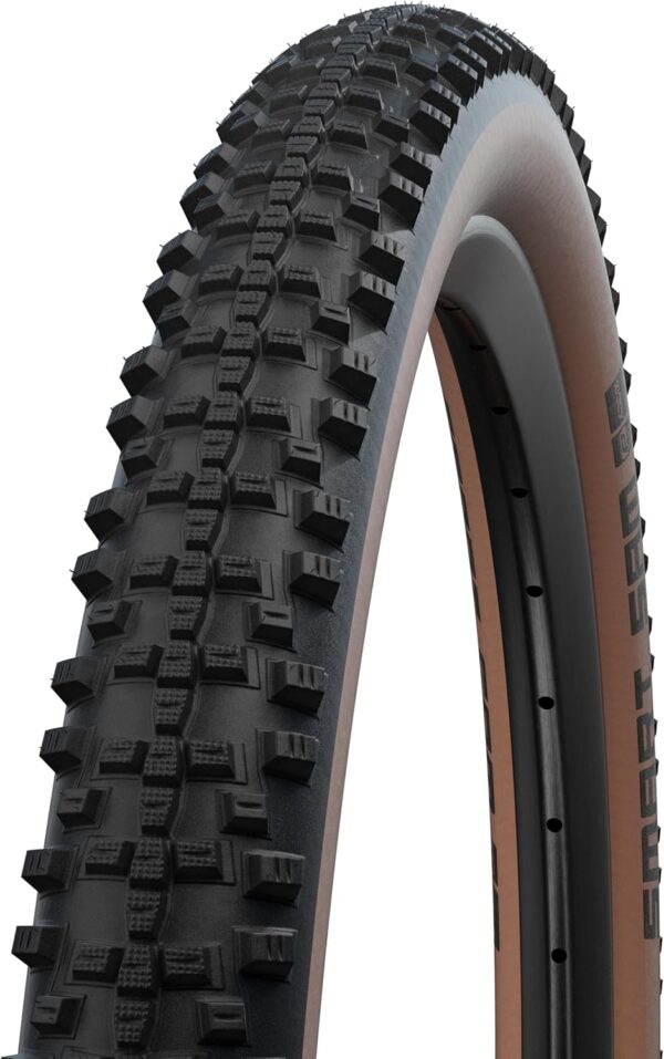 Schwalbe Smart Sam Performance Line Tyre