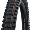 Schwalbe SCHWALBE BIG BETTY Evo, Super Gravity, TLE Tyres