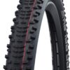 Schwalbe Unisex – Adult's RacingRalph HS490 SG Tyre