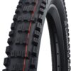 Schwalbe Unisex – Adult's Fr EddyCurrent HS496 Tyre