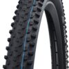 Schwalbe SCHWALBE RACING RAY Evo, SnakeSkin, TLE Tyres